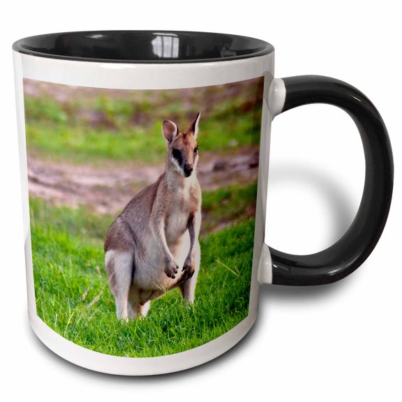 3drose, Grey Kangaroos, Queensland, Australia - Au01 Mgl0068 - Miva Stock, 11oz Two-tone Black Mug