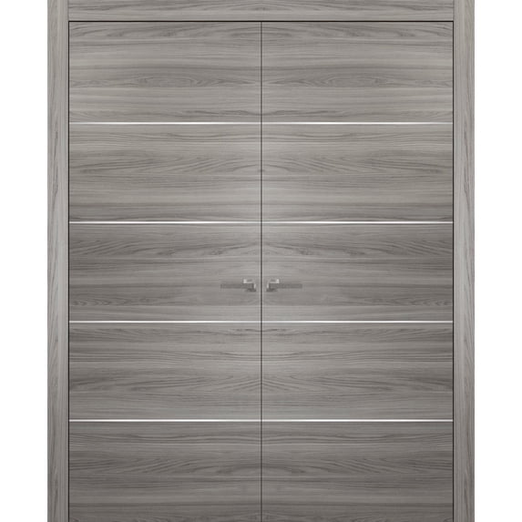Grey Modern French Doors 72 x 80 with Moldings