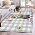 thumbnail image 1 of Grey Plaid Groundhog Area Rug 3x5 Washable Rug Non Slip Spring Floral Butterfly Botanical Large Area Rug Indoor Floor Carpet for Entryway Bedroom Kitchen Living Room Home Office Dining Room Nursery, 1 of 8