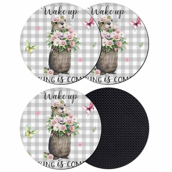 Grey Plaid Groundhog Coasters Set of 4, Absorbent Coasters for Drinks, Spring Floral Butterfly Botanical Coaster for Desk Coffee Table Protection, Home Decor House Warming Gifts 4"
