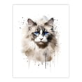 thumbnail image 1 of Grey Point Ragdoll Cat Blue Eyes Lovers Gift Watercolour Pet Portrait Painting Artwork Extra Large XL Wall Art Poster Print, 1 of 5