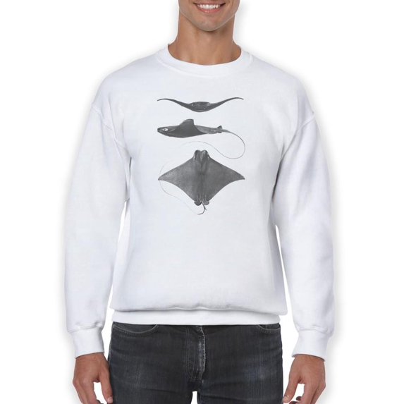 Grey-Scale Stingrays Ii. Sweatshirt Men -Studio W Designs, Male Small