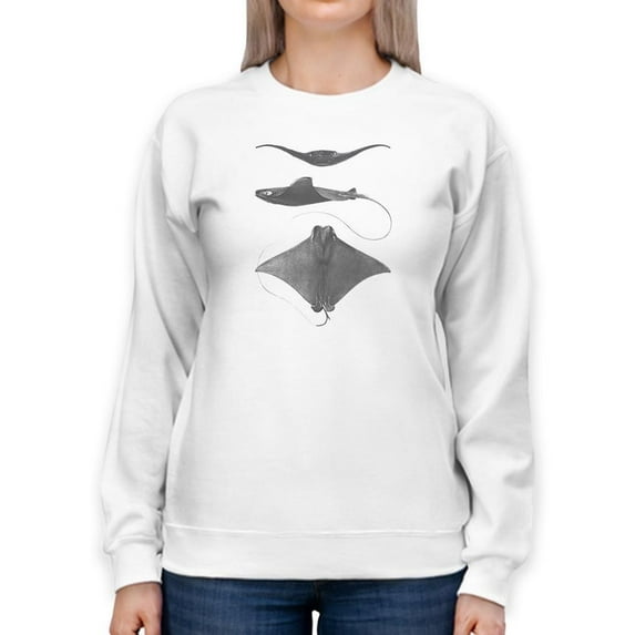 Grey-Scale Stingrays Ii. Sweatshirt Women -Studio W Designs, Female 3X-Large