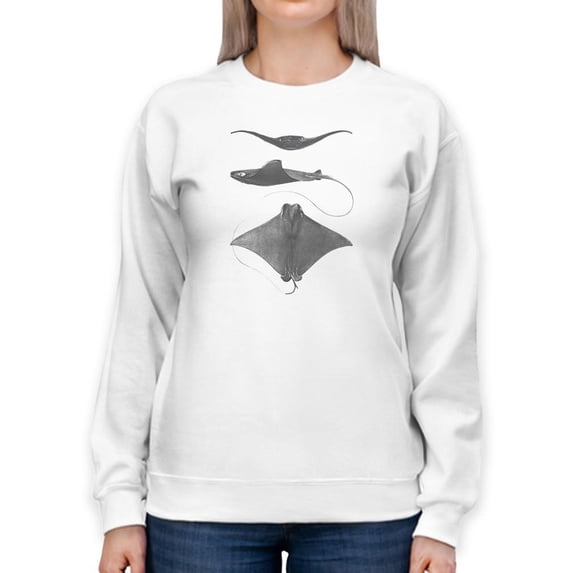 Grey-Scale Stingrays Ii. Sweatshirt Women -Studio W Designs, Female 4X-Large