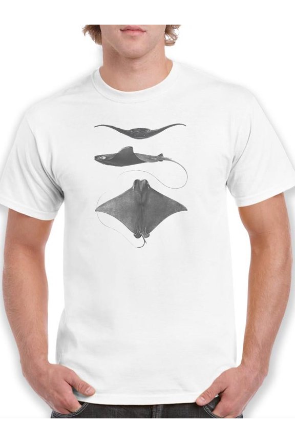 Grey-Scale Stingrays Ii. T-Shirt Men -Studio W Designs, Male Medium