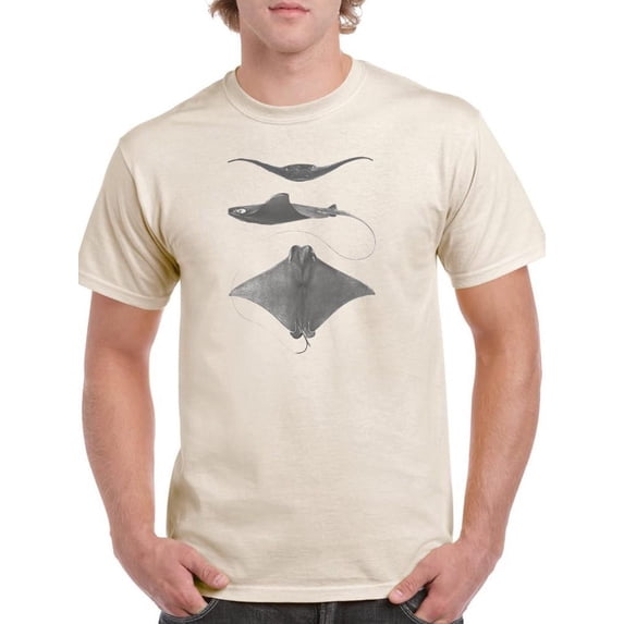 Grey-Scale Stingrays Ii. T-Shirt Men -Studio W Designs, Male Small