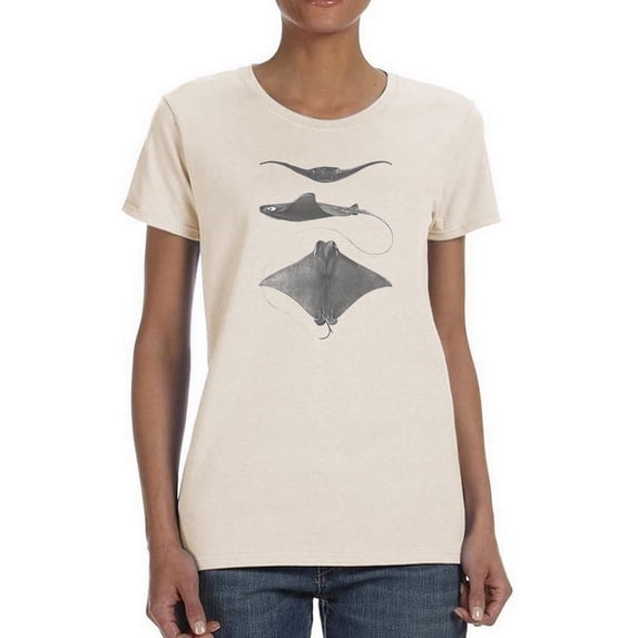 Grey-Scale Stingrays Ii. T-Shirt Women -Studio W Designs, Female Small