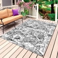thumbnail image 1 of Grey Shell Starfish Coastal Outdoor Rug 4x6 Ft, Non Slip Washable Area Rug, Nautical Ocean Summer Beach Patio Rugs Carpet Runner, Large Floor Mat for Indoor/Outdoor Deck Porch Camping, 1 of 8