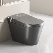Grey Smart Bidet Toilet, Auto Open & Close Lid, Heated Seat, Instant Warm Water Wash, Warm Air Drying, Wireless Remote Control & Power Outage Flush, White Ceramic One-Piece Toilet