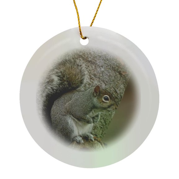 3drose, Grey Squirrel., Circle Porcelain Ornament