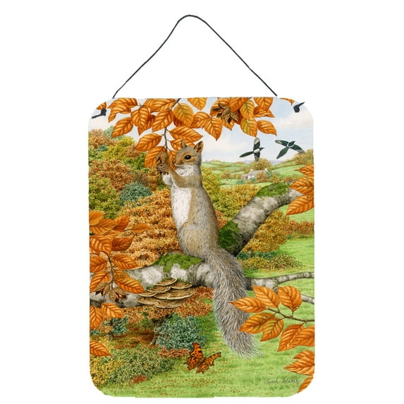 Grey Squirrel Wall or Door Hanging Prints