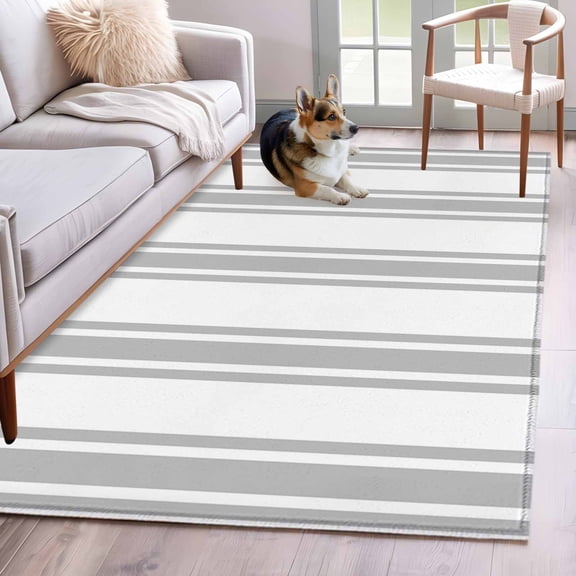 Grey Striped 4'x6' Area Rugs Modern Farmhouse Stripes Rustic Minimalist Washable Area Rugs Non-Slip Indoor Floor Mats Carpet for Living Room Bedroom Dining Room