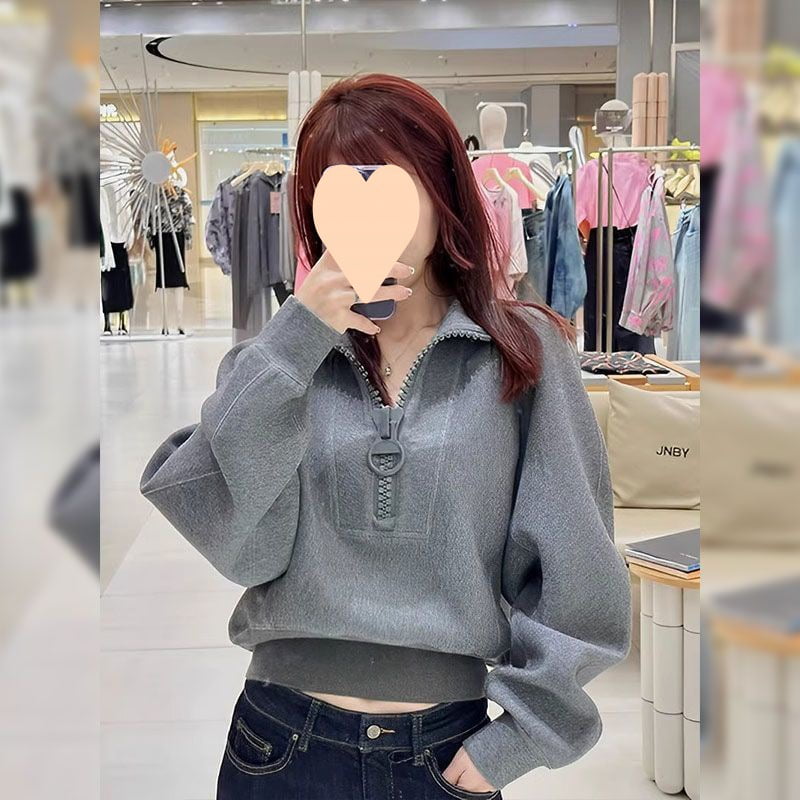 Grey Sweatshirt Women‘s Spring and Autumn 2024 Loose Niche Short Half