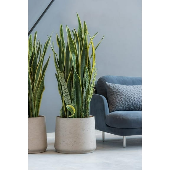 Grey Washed Planter Fiberstone Indoor and Outdoor Flower Pot 8" H x 9" W