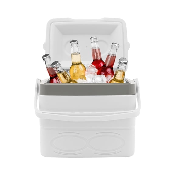 Grey + White 9Qt Insulated Ice Chest Box Portable Ice Chest Hard Cooler Box Lightweight Small Proof Ice Lunch Box with Handle Outdoor Ice Pack for Travel, Camping, Shopping