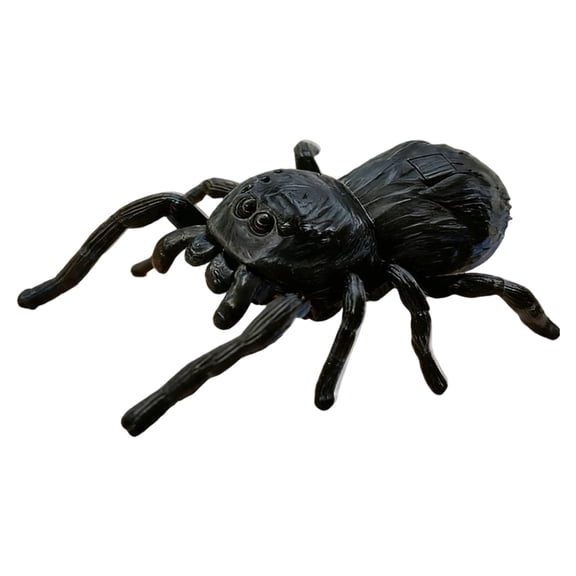 Grey Wind Up Simulation Spider Toy Crawling Insect Model For Kids Educational Play No Battery Needed