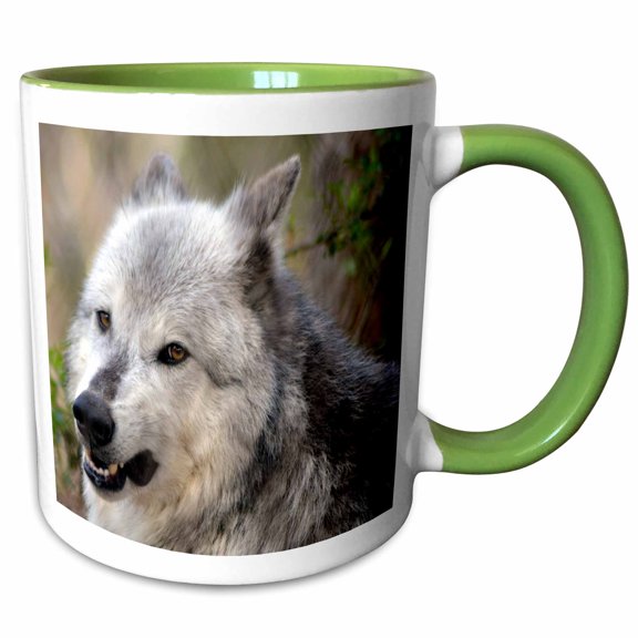 3drose, Grey Wolf with Ears Back, 11oz Two-tone Green Mug
