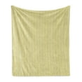 thumbnail image 1 of Grey and Yellow Soft Flannel Fleece Throw Blanket, Circus Tent Inspired Vintage Retro Stripes Modern Image, Cozy Plush for Indoor and Outdoor Use, 50" x 70", Pale Yellow White, by Ambesonne, 1 of 6