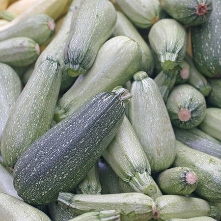 Grey Zucchini Summer Squash Garden Seeds - 1 Oz - Non-GMO, Heirloom - Vegetable Gardening Seed - Gray