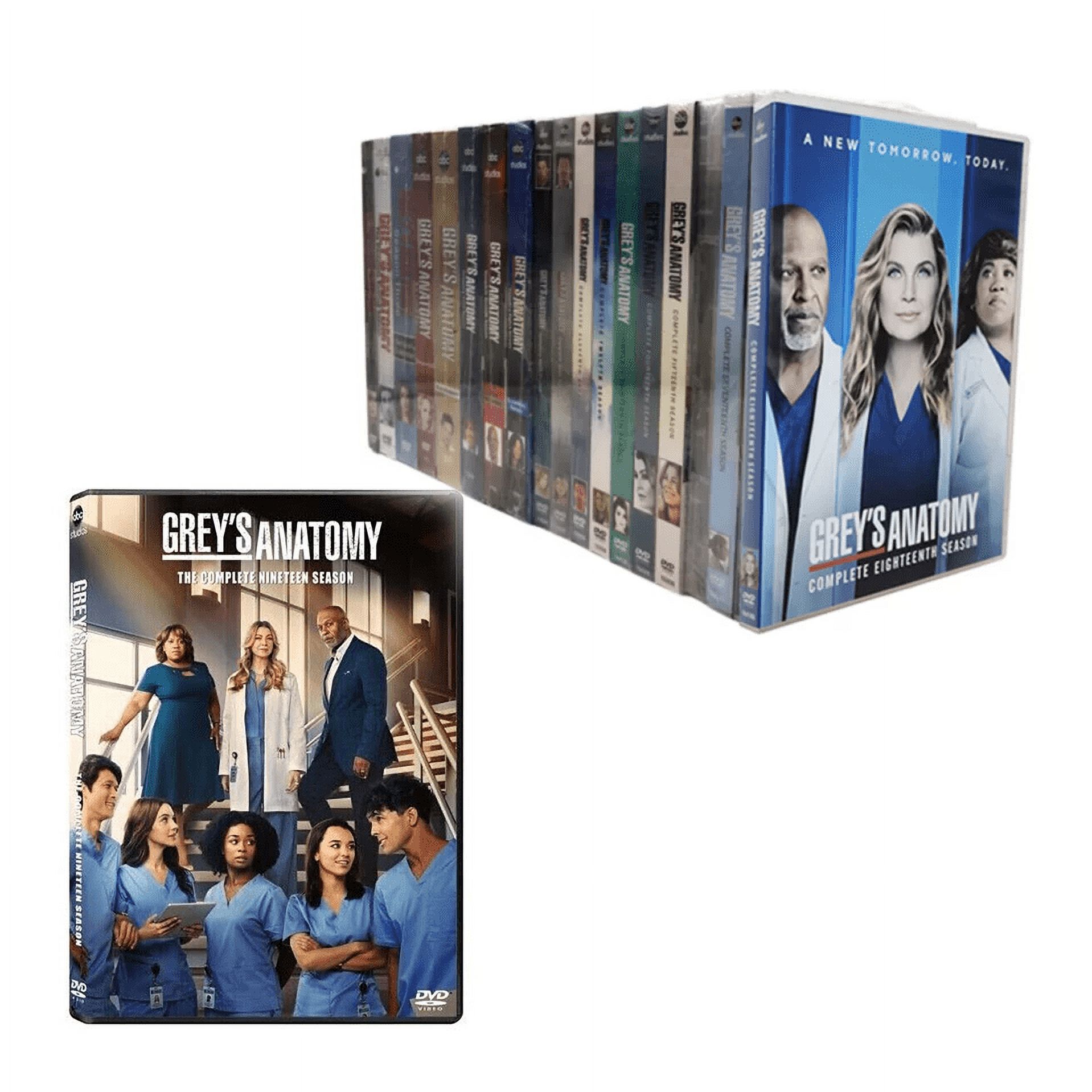 Grey’s Anatomy Complete Series Season 1-19 (DVD) - Walmart.com