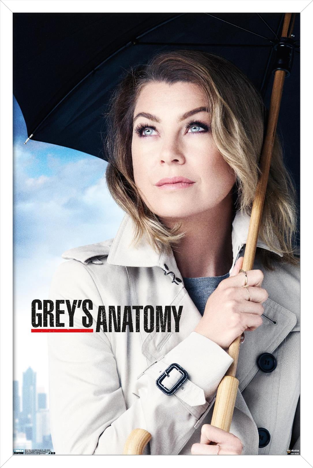 Greys Anatomy Season 12 - One Sheet Wall Poster with Pushpins, 14.725 x  22.375 - Walmart.com