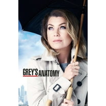 Grey's Anatomy Season 12 - One Sheet Wall Poster, 22.375" x 34"