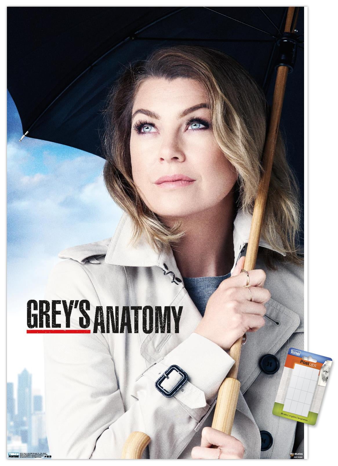 Grey's Anatomy Season 12 - One Sheet Wall Poster, 22.375" x 34"