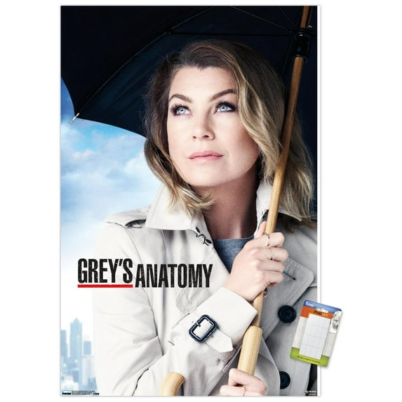 Grey's Anatomy Season 12 - One Sheet Wall Poster, 22.375" x 34"