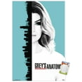 thumbnail image 1 of Grey's Anatomy Season 13 - One Sheet Wall Poster, 14.725" x 22.375", 1 of 6
