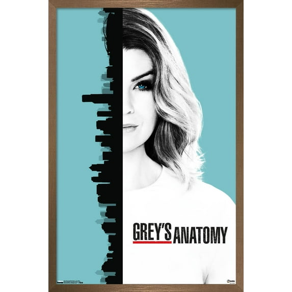 Grey's Anatomy Season 13 - One Sheet Wall Poster, 22.375" x 34", Framed