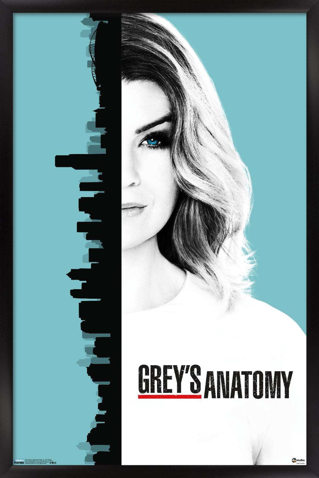 Grey's Anatomy Season 13 - One Sheet Poster