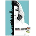 thumbnail image 1 of Grey's Anatomy Season 13 - One Sheet Wall Poster with Pushpins, 22.375" x 34", 1 of 6