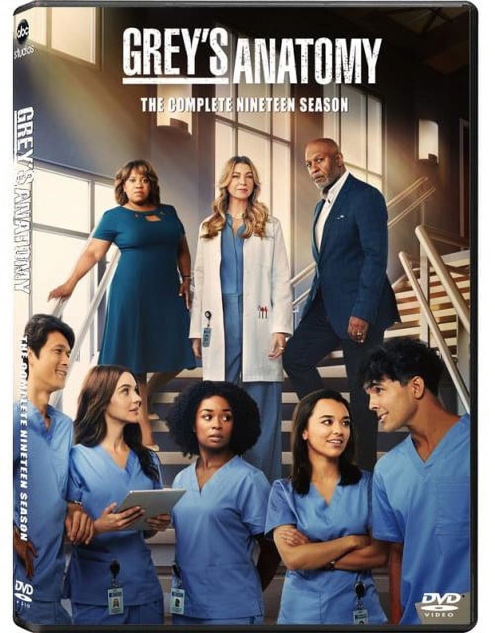 Greys Anatomy season 19 (DVD)