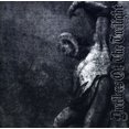 thumbnail image 1 of Grey, 1 of 1