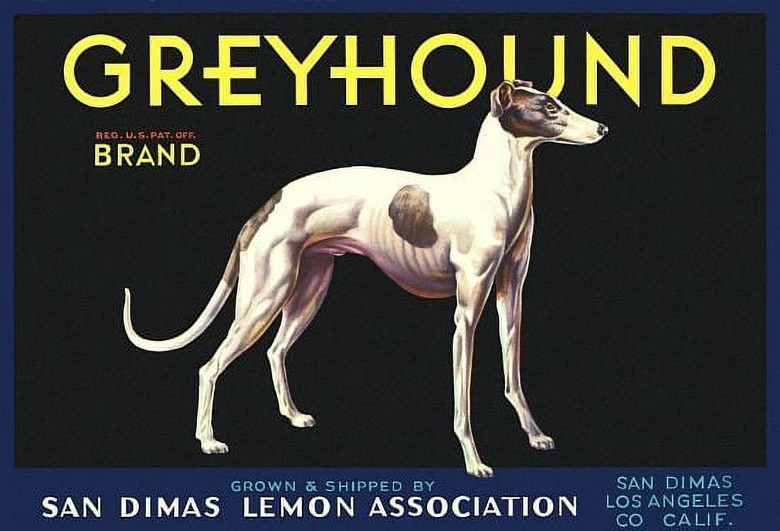 Greyhound Brand Lemon Association Canvas Art - (18 x 24)