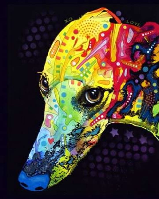 Greyhound Canvas Art - Dean Russo (24 x 30)
