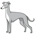 thumbnail image 1 of Greyhound Decal | Indoor/Outdoor | Dog Lover Super Cute Sticker for SUV Windows, Dorm Rooms, Bedroom, Offices | SignMission personalized gift | 36", 1 of 2