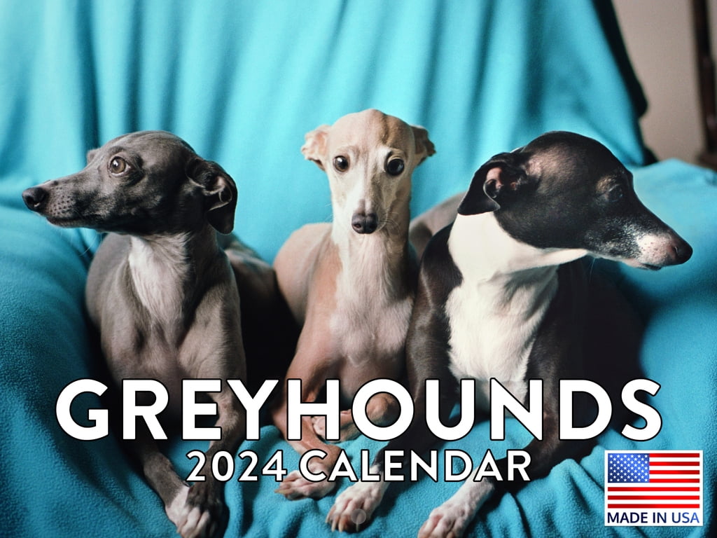 Greyhounds Reach The Beach 2024 Schedule Eula Danyette