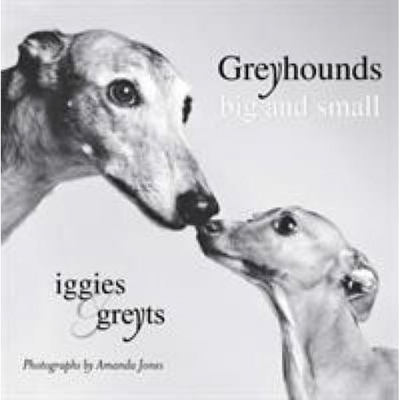 Pre-Owned Greyhounds Big and Small: Iggies and Greyts (Paperback) 0425232816 9780425232811