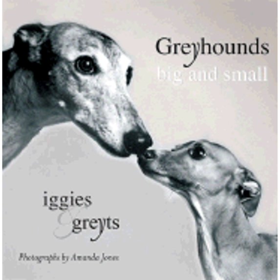 Pre-Owned Big and Small : Iggies and Greyts 9780425199824