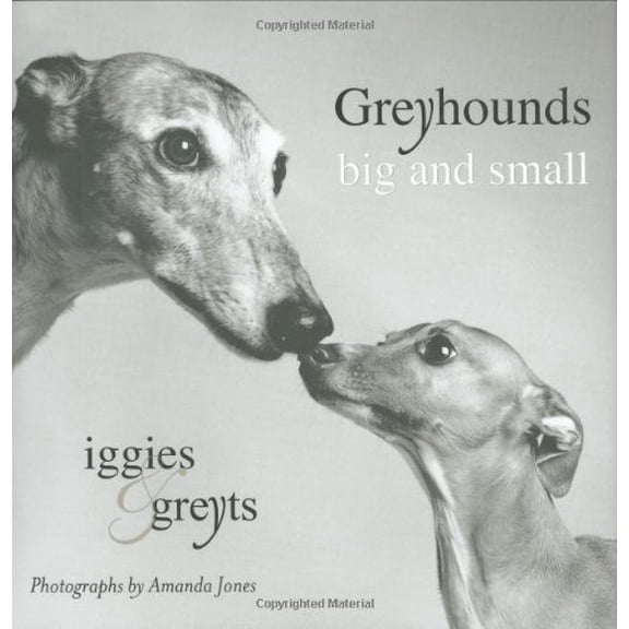 Pre-Owned Greyhounds Big and Small: Iggies and Greyts (Hardcover) 0425199827 9780425199824
