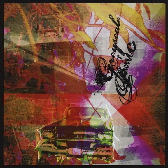 Greyscale Picnic - Panic in the Mosaic Era  [COMPACT DISCS] Duplicated CD