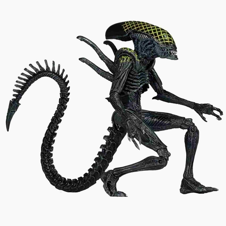 Grid Alien AVP Xenomorph vs Predator 7