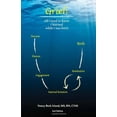 thumbnail image 1 of Pre-Owned Grief: All I need to know I learned while I was born (2nd Ed.) by Nancy Beck Irland (2010-09-15) Paperback, 1 of 1
