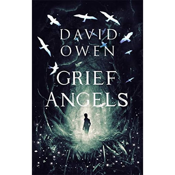 Grief Angels David Owen (Paperback)