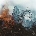 thumbnail image 1 of Grieved, 1 of 1