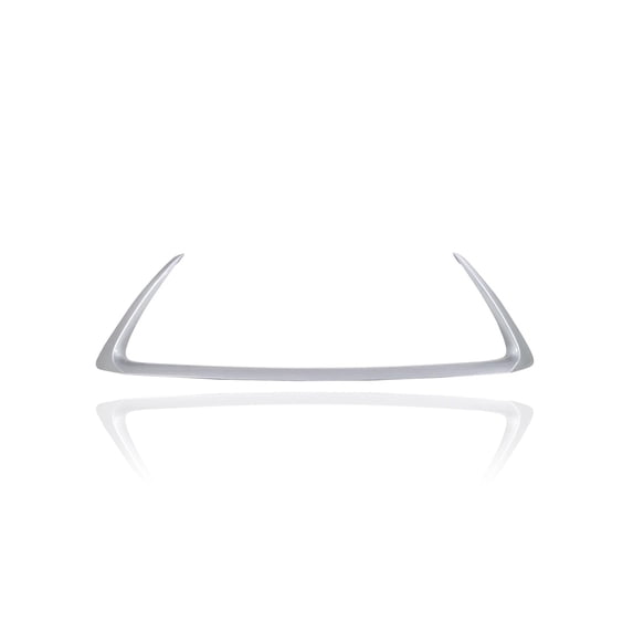 Grille Molding - Compatible/Replacement for '14-17 Lexus CT 200h - Front Bumper Lower, Silver, 5312276010