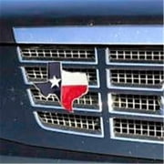 Grillie Texas Texas Ornament, 4.375 x 5 in.