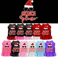 thumbnail image 1 of Christmas Dog Dress, Pet Dog  Cat Dress Screen Printed, "Grinch Please", 1 of 8