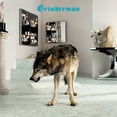 thumbnail image 1 of Grinderman, Vol. 2, 1 of 1